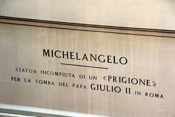 IMGL1429